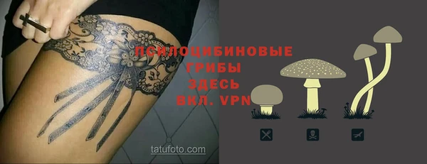 бошки Саяногорск