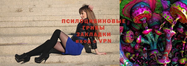 бошки Саяногорск
