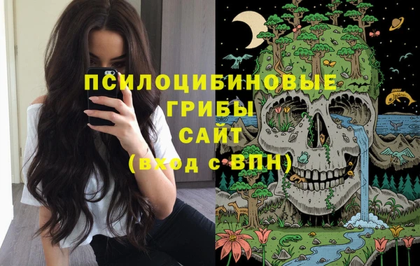 бошки Саяногорск