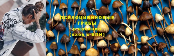 бошки Саяногорск