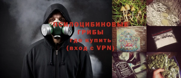 бошки Саяногорск