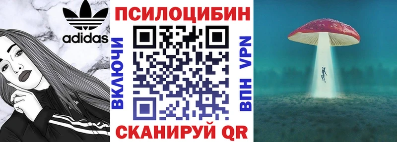 Купить  Сланцы  Псилоцибиновые грибы Cubensis 